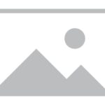 Sustainable Forestry