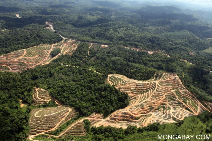 Lula wants to mirror Amazon’s lessons in all biomes, but challenges ...